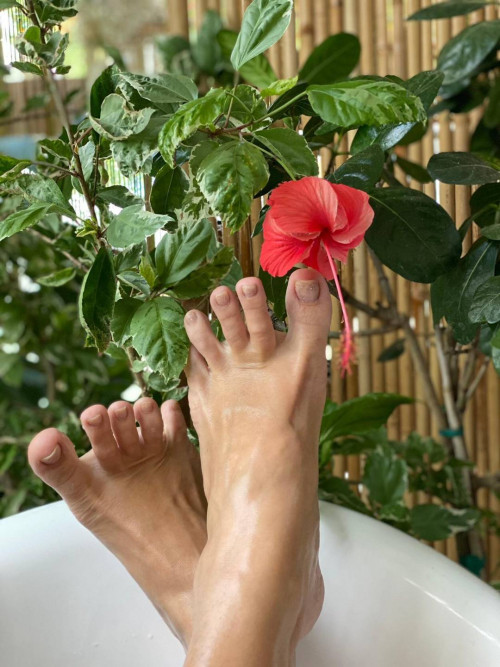 hibiscus-toes-648t0p62hs-1080x1441.jpg